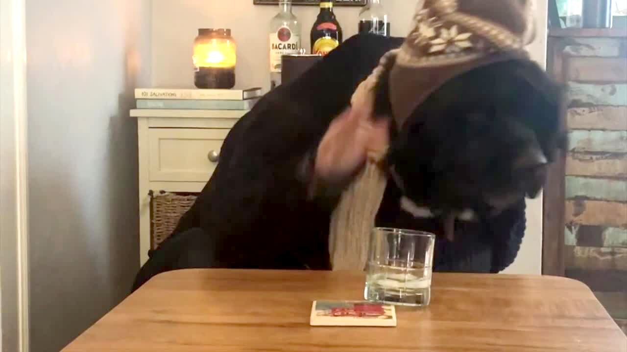 Video thumbnail showing: A dog with human hands is dressed for winter and drinks.